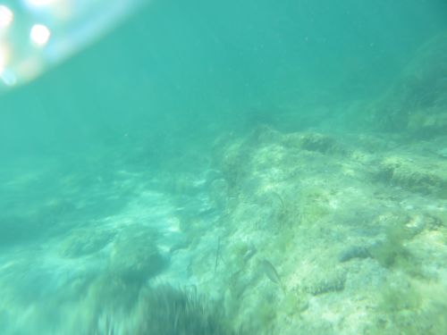 photo : 22 plage de santa giulia (10/07/2020)