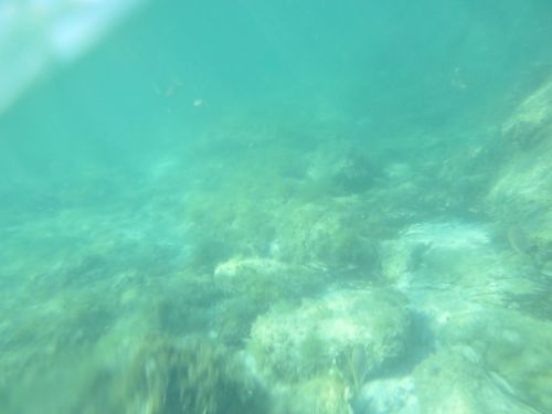 photo : 23 plage de santa giulia (10/07/2020)