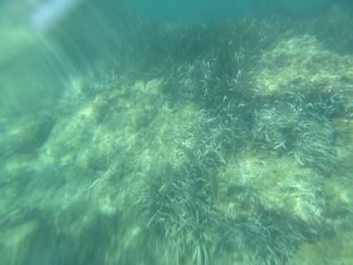 photo : 24 plage de santa giulia (10/07/2020)