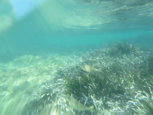 photo : 25 plage de santa giulia (10/07/2020)