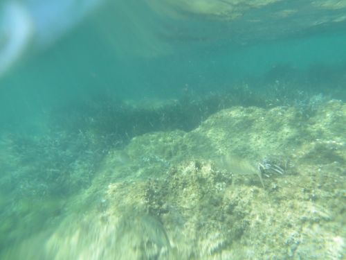 photo : 26 plage de santa giulia (10/07/2020)