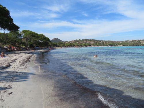 photo : 33 plage de santa giulia (10/07/2020)