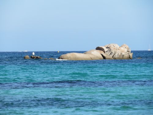 photo : 38 plage de santa giulia (10/07/2020)