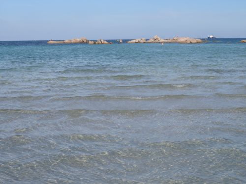 photo : 52 plage de santa giulia (10/07/2020)