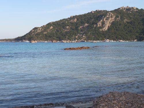 photo : 71 plage de santa giulia (10/07/2020)