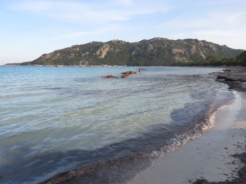 photo : 72 plage de santa giulia (10/07/2020)