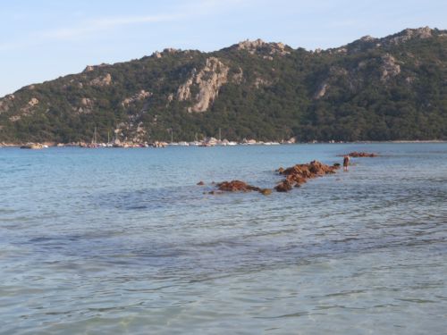photo : 73 plage de santa giulia (10/07/2020)