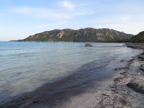 photo : 74 plage de santa giulia (10/07/2020)