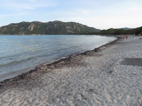 photo : 76 plage de santa giulia (10/07/2020)