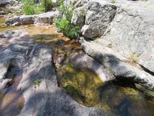 photo : 38 randonnee la cascade de piscia di gallu (11/07/2020)