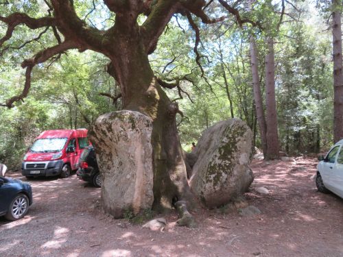 photo : 16 vasques naturelles de polischellu (12/07/2020)