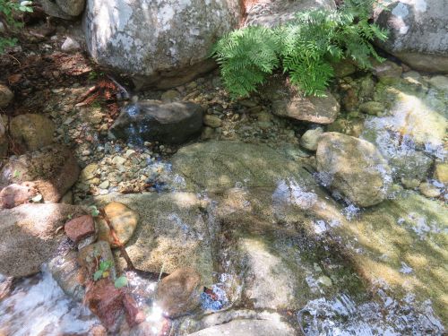 photo : 22 vasques naturelles de polischellu (12/07/2020)