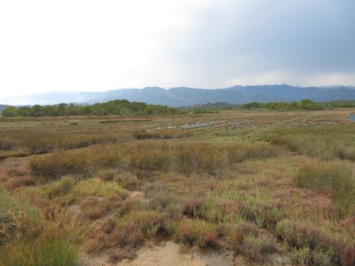 photo : 25 étang derriere la plage de tramulimacchia (13/07/2020)