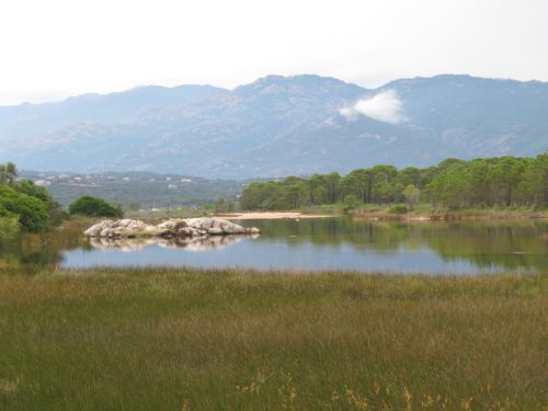 photo : 26 étang derriere la plage de tramulimacchia (13/07/2020)