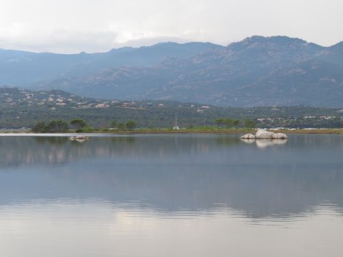 photo : 28 étang derriere la plage de tramulimacchia (13/07/2020)