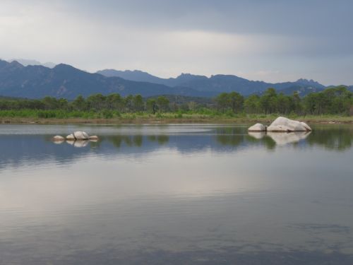 photo : 30 étang derriere la plage de tramulimacchia (13/07/2020)