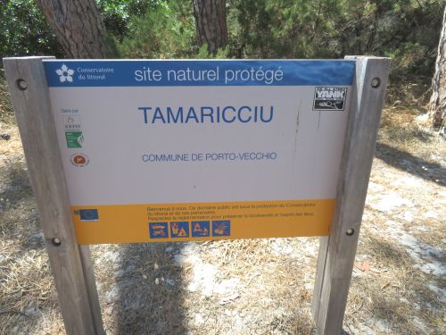 photo : 73 plage de tamaricciu (14/07/2020)