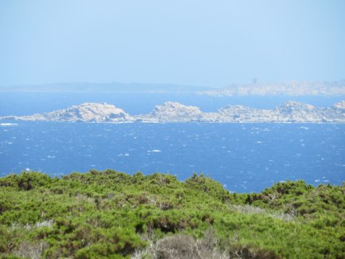 photo : 47 les iles lavezzi (16/07/2020)