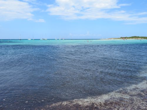 photo : 51 plage de piantarella spot de windsurf (16/07/2020)