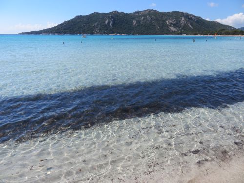 photo : 02 randonnee au dessus de santa giulia (18/07/2020)