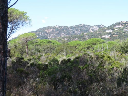 photo : 06 plage de palombaggia (21/07/2020)