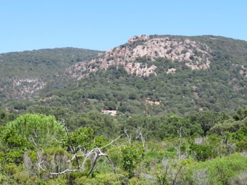photo : 10 plage de palombaggia (21/07/2020)