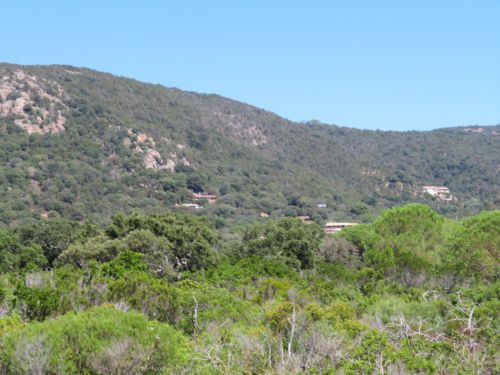 photo : 11 plage de palombaggia (21/07/2020)