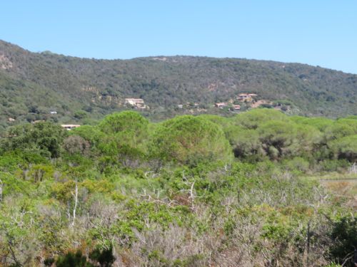 photo : 12 plage de palombaggia (21/07/2020)