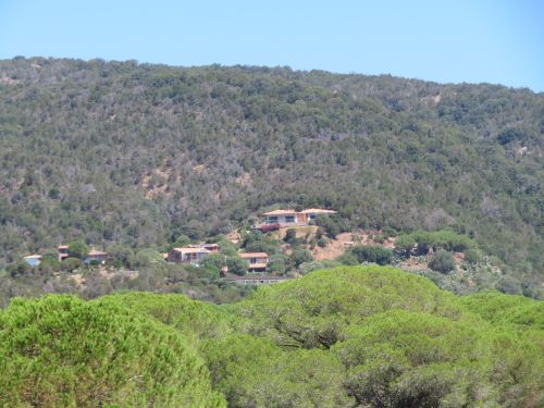 photo : 13 plage de palombaggia (21/07/2020)