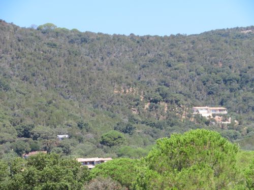 photo : 14 plage de palombaggia (21/07/2020)