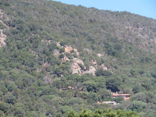 photo : 15 plage de palombaggia (21/07/2020)