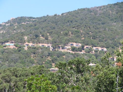 photo : 16 plage de palombaggia (21/07/2020)