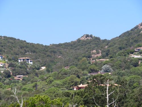 photo : 17 plage de palombaggia (21/07/2020)