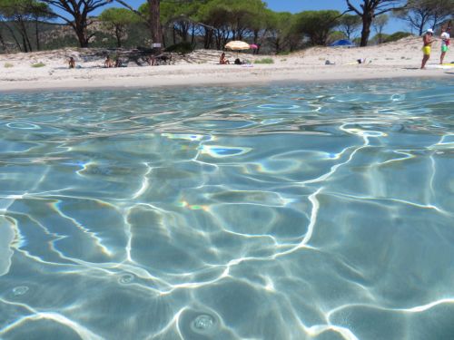 photo : 24 plage de palombaggia (21/07/2020)