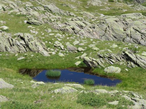photo : 17 randonnee lacs de lavouet areches beaufort (15/08/2020)