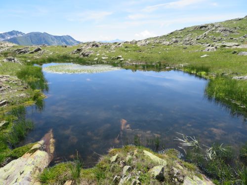 photo : 27 randonnee lacs de lavouet areches beaufort (15/08/2020)