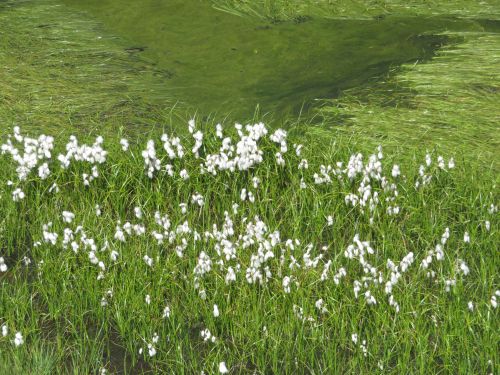 photo : 34 randonnee lacs de lavouet areches beaufort (15/08/2020)