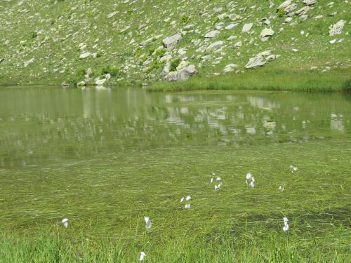 photo : 40 randonnee lacs de lavouet areches beaufort (15/08/2020)
