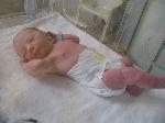 Naissance Esteban (album photos).