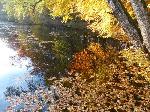 Automne 2015 (album photos).
