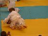 1ere competition judo Esteban 05 (22/11/2014) (agrandir la photo)