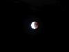 42 eclipse de lune (27/07/2018) (agrandir la photo)