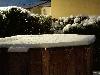 05 neige lyon (15/11/2019) (agrandir la photo)