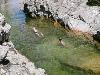 34 randonnee la cascade de piscia di gallu (11/07/2020) (agrandir la photo)