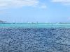 52 plage de piantarella spot de windsurf (16/07/2020) (agrandir la photo)