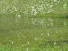 40 randonnee lacs de lavouet areches beaufort (15/08/2020) (agrandir la photo)