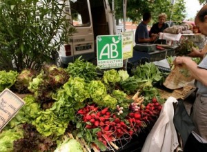 Marché biologique (D.R.)