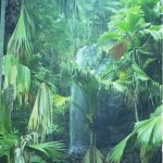 Excursion dans la vall&eacute;e de Mai