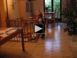 Vidéo : Esteban se lache pour marcher (01/09/2009)