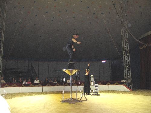 photo : cirque zavatta 29